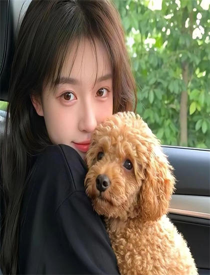 八戒八戒在线观看免费高清4_坚如磐石在线播放免费_大宋宫词在线观看免费